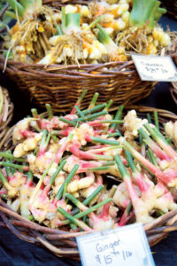 Grow Turmeric and Ginger in Any Climate